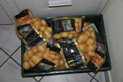 Kartoffelschaelen2016_001